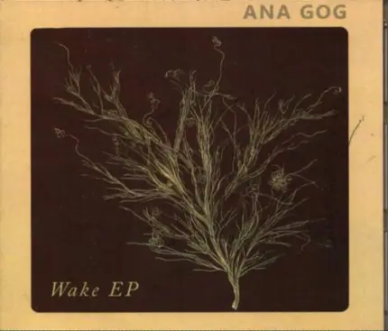 Ana Gog - Wake EP