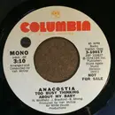 7inch Vinyl Single - Anacostia - Too Busy Thinking About My Baby