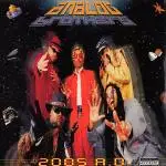 Analog Brothers - 2005 A.D.