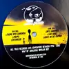 12inch Vinyl Single - Analogue Bipolar Boy - Into Darkness EP - EP