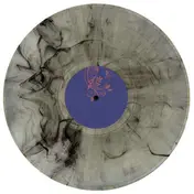 The Analog Roland Orchestra - Roden Crater Vision