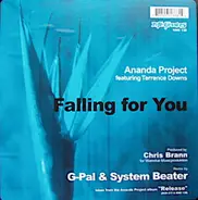 Ananda Project Feat. Terrance Downs - Falling For You