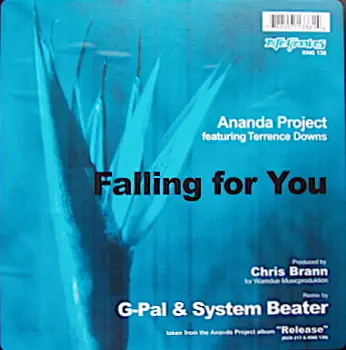 Ananda Project Feat. Terrance Downs - Falling For You