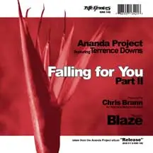 Ananda Project Featuring Terrance Downs - Falling For You (Part II)