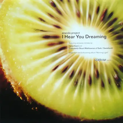Ananda Project, The Ananda Project - I Hear You Dreaming