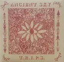 CD - Ancient Sky - T.R.I.P.S. - Digisleeve