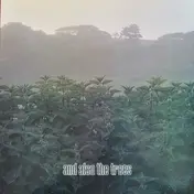 And Also the Trees - And Also the Trees