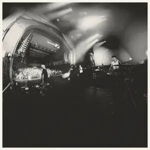 And So I Watch You from Afar - Megafauna