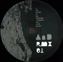 12inch Vinyl Single - AnD - Rmx 01