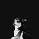 CD - And The Kids - When This Life is Over - Carboard sleeve