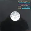 12inch Vinyl Single - Andy Meilicke - Gotta Have More Love