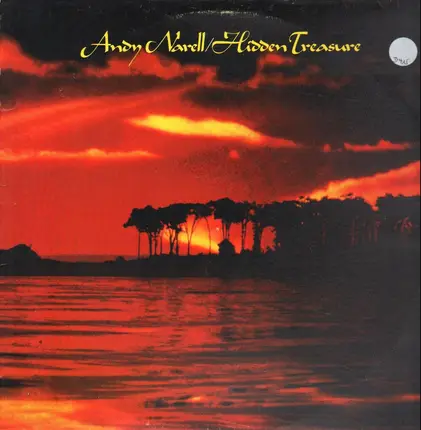 Andy Narell - Hidden Treasure