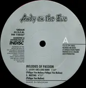 12inch Vinyl Single - Andy On The Eve - Melodies Of Passion