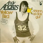 Andy Andres - Yellow Bird