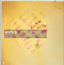 12inch Vinyl Single - Andy B. - Imagination