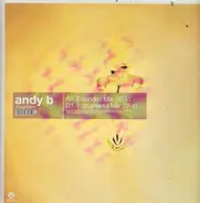 Andy B. - Imagination