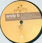 12'' - Andy B. - Imagination