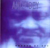 Andy Bey - Shades of Bey