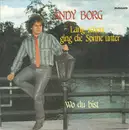 7inch Vinyl Single - Andy Borg - Lang' Schon Ging Die Sonne Unter