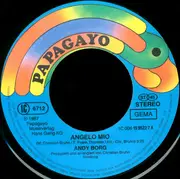 7inch Vinyl Single - Andy Borg - Angelo Mio
