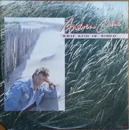 Andy Caine - What Kind Of World