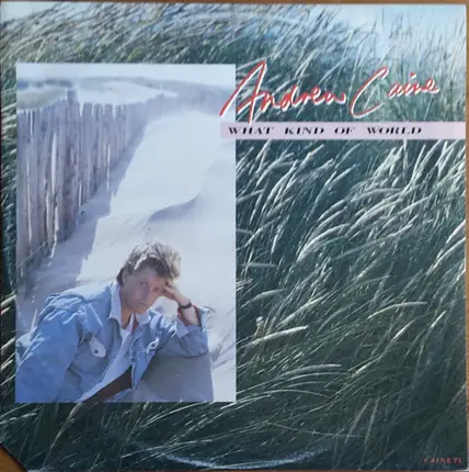 Andy Caine - What Kind Of World