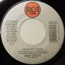 7inch Vinyl Single - Andy Childs - I Wouldn't Know