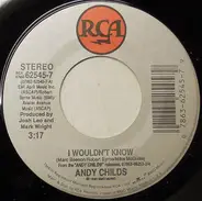 Andy Childs - I Wouldn't Know