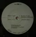 12inch Vinyl Single - Andy Düx - We Have To See (Paradise, Paradise)