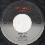 7inch Vinyl Single - Andy Free - Sorry