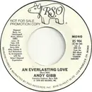 7inch Vinyl Single - Andy Gibb - An Everlasting Love