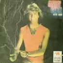 LP - Andy Gibb - After Dark - Red Labels