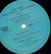 LP - Andy Irvine - Rainy Sundays Windy Dreams