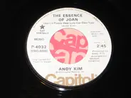 Andy Kim - The Essence Of Joan (Ain't It Funny How Love Can Own You)