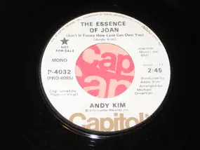 Andy Kim - The Essence Of Joan (Ain't It Funny How Love Can Own You)