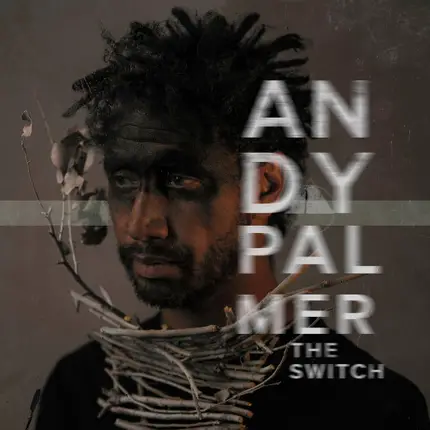 Andy Palmer - The Switch