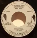 7inch Vinyl Single - Andy Pratt - If You Could See Yourself (Through My Eyes)