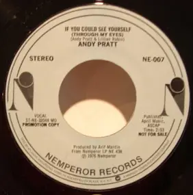 Andy Pratt - If You Could See Yourself (Through My Eyes)
