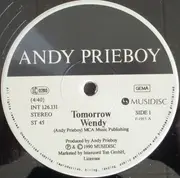 12inch Vinyl Single - Andy Prieboy - Tomorrow Wendy