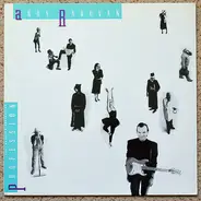 Andy Radovan - Profession