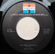 7inch Vinyl Single - Andy Star - Fiesta