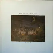 Andy Summers & Robert Fripp - Bewitched