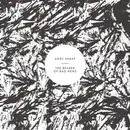 CD - Andy Shauf - The Bearer Of Bad News - digisleeve