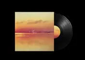ANDY SHAUF - Norm