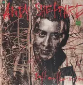 Andy Sheppard - Soft on the Inside
