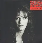 LP - Andy Taylor - Thunder