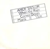 Andy Taylor - When The Rain Comes Down