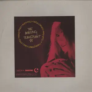 Andy Votel & Cherrystones - The Amazing Transplant