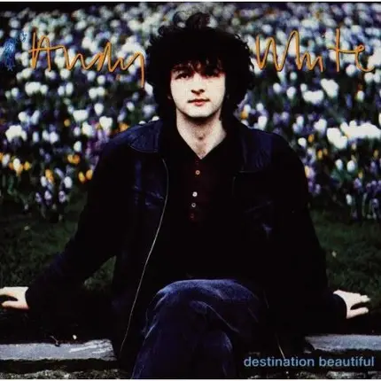 Andy White - Destination Beautiful
