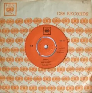 Andy Williams - The Peking Theme (So Little Time) / Hopeless
